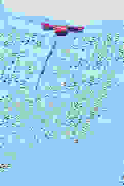 Powder Blue Polyester Straight Printed Suit Set image number 1