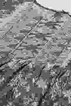 Navy LIVA Flared Printed Kurti image number 1