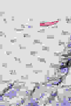 White Straight Printed Top image number 1