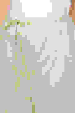 Light Green Cotton Floral Straight Suit Set image number 3