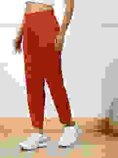 Rust Solid Mid-Rise Regular Pants image number 2