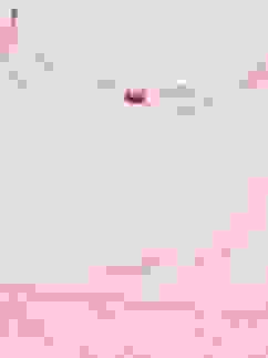 Pink Cotton Blend Flared Kurta Churidar Suit Set image number 2