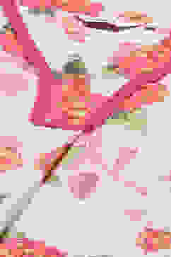 White & Pink Cotton Gathered Kurta Pants Suit Set image number 1