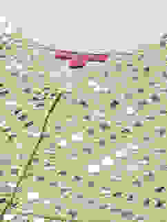 Green Modal Blend Straight Embroidered Suit Set image number 1