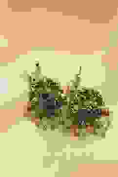 Mint Green Alloy Jhumka image number 2