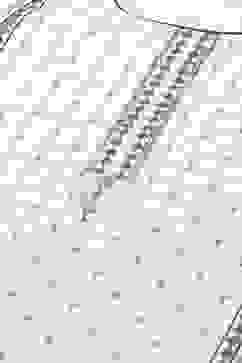 White Cotton Straight Kurta image number 1