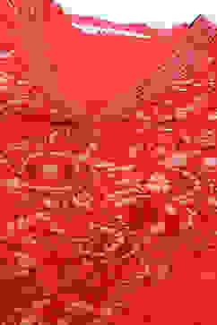 Red Cotton Blend Straight Printed Kurta image number 1