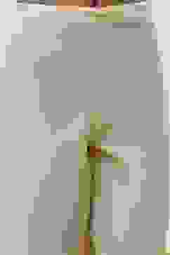 Cream-Colored Cotton Solid Regular Pants image number 1