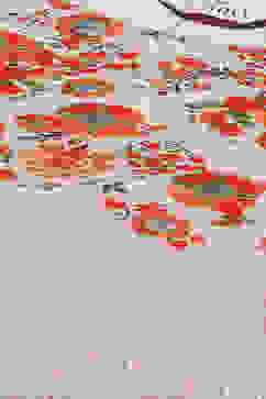 Beige Rayon Asymmetric Kurta Palazzo 2 Piece Set image number 1