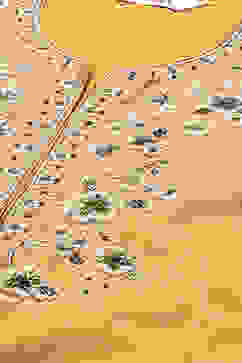 Ochre Cotton Blend A-Line Kurta Palazzo Suit Set image number 1