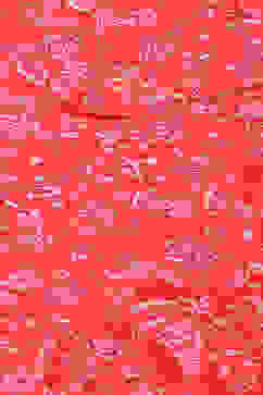 Red Cotton Straight Kurta Relaxed Salwar Suit Set image number 1