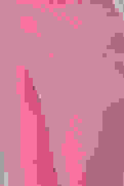 Yellow Solid Straight Kurta Churidar Suit Set image number 6