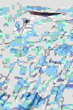 White Cotton Straight Kurta image number 1