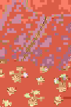 Coral Rayon Straight Kurta Palazzo Suit Set image number 1