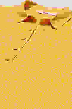 Yellow Rayon Straight Printed Kurta image number 1