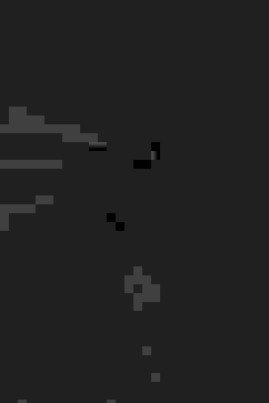 Blue Cotton Jamdani Unstitched Suit Set image number 2