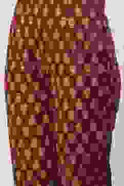 Maroon Rayon Narrow Pants image number 1