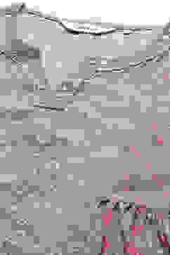 Grey Modal A-Line Kurta Palazzo Suit Set image number 2