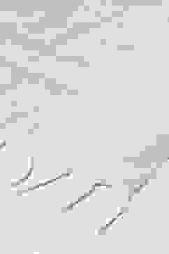 Gold Cotton Blend Yarndyed Dupatta image number 1