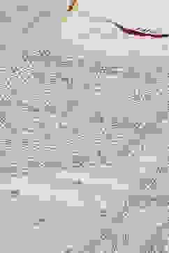 Beige LIVA Straight Printed Kurta image number 1