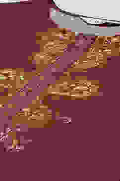 Wine LIVA Straight Printed Kurta image number 1