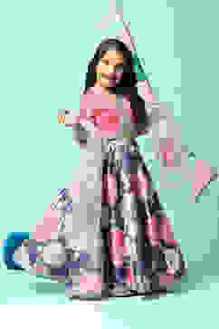 Pink & Blue Viscose Blend Lehenga Set image number 7