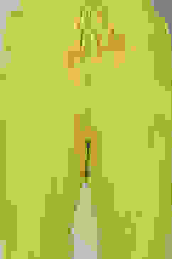 Lime Green Cotton Anarkali Kurta Churidar Suit Set image number 3