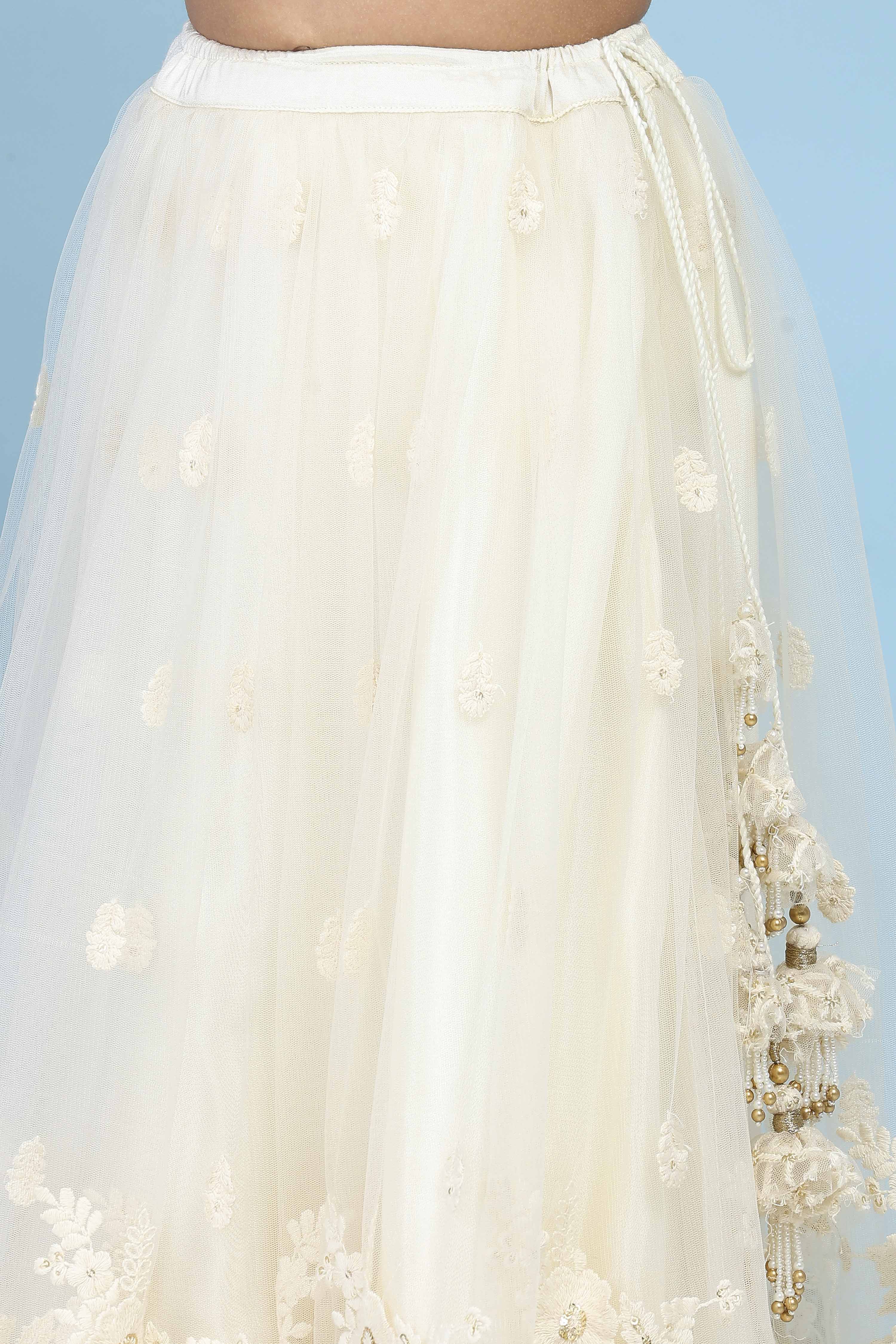 Neutral Butterfly Net Embroidered Regular Lehenga Set image number 2