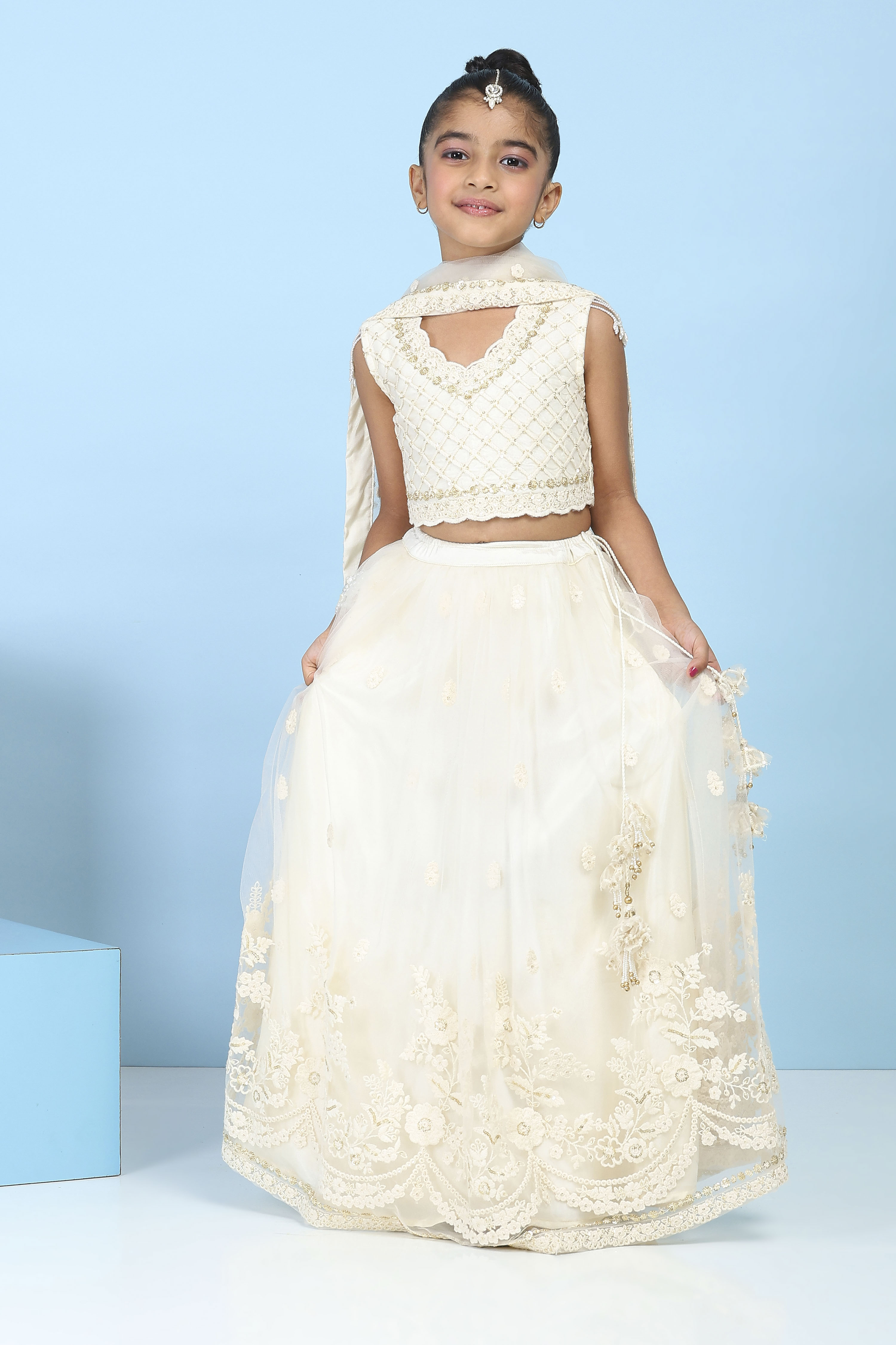 Neutral Butterfly Net Embroidered Regular Lehenga Set image number 0