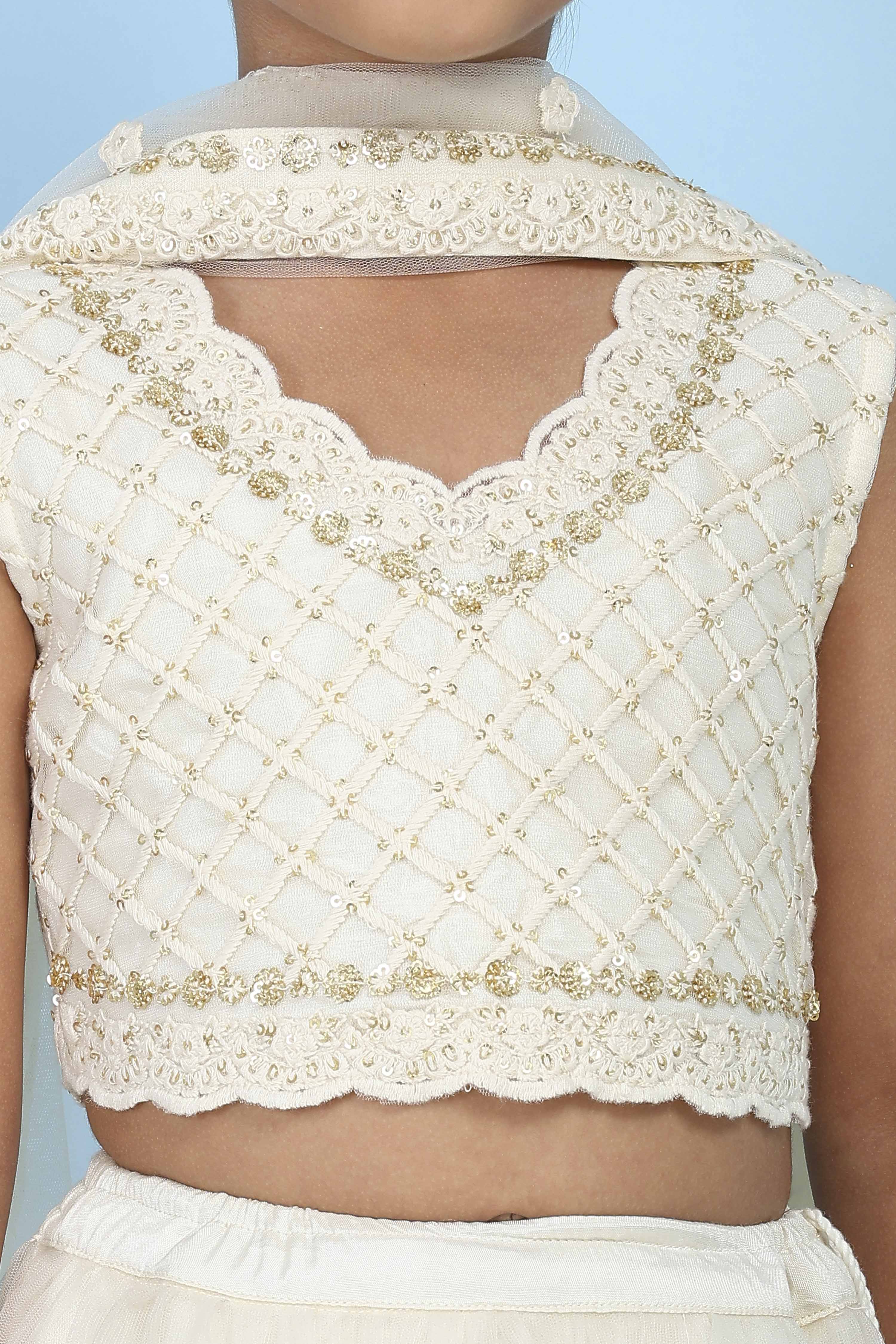 Neutral Butterfly Net Embroidered Regular Lehenga Set image number 1